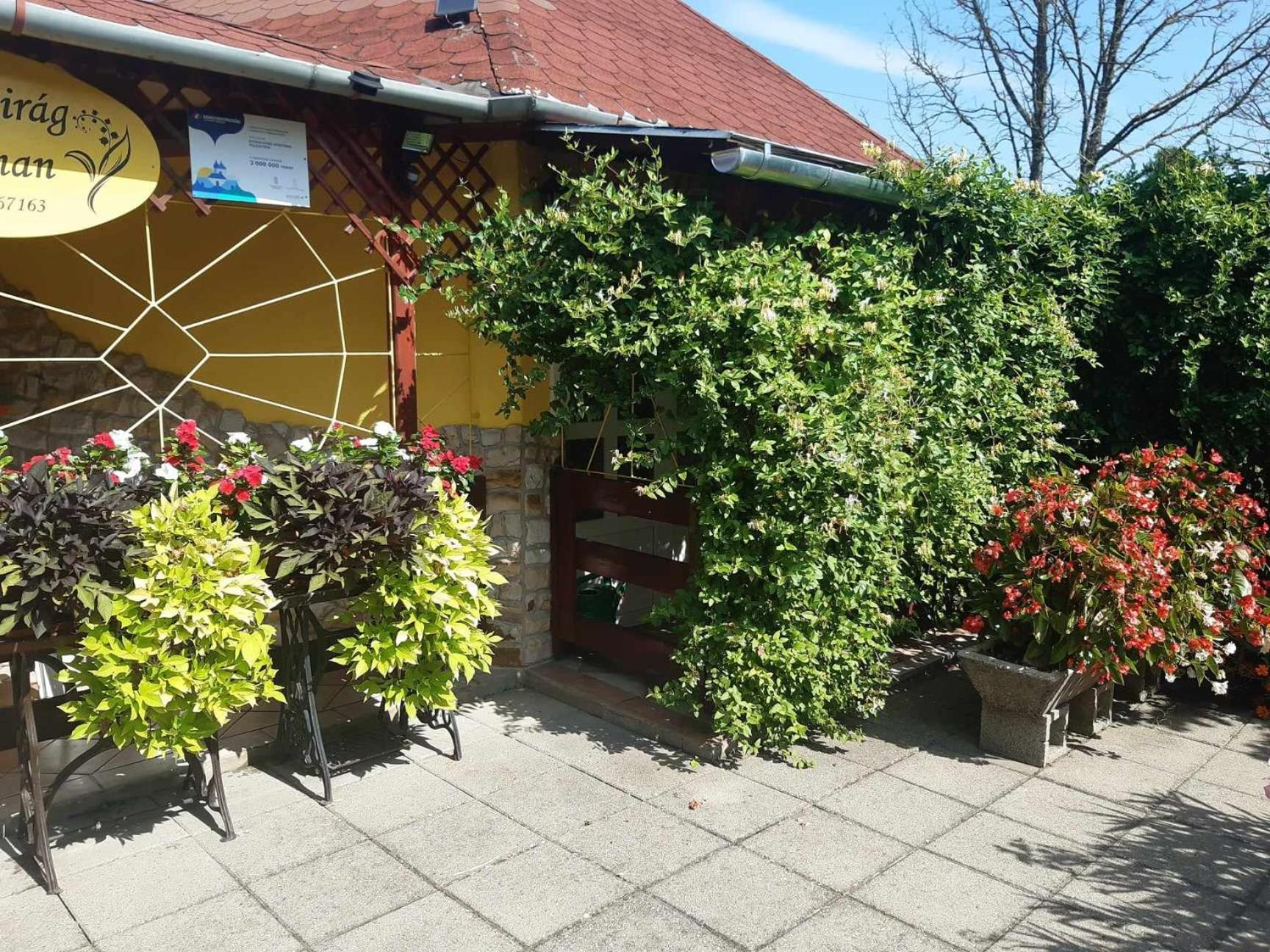 Gyoengyvirag Apartment Romhány Exterior foto